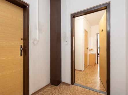 Z71_7243 | Prodej bytu, 1+1, 41 m²