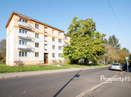 PANA1242 | Prodej bytu, 2+1, 52 m²