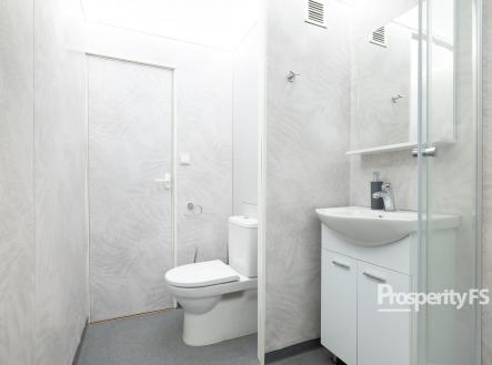 pana9039-6d790e | Pronájem bytu, 3+1, 64 m²