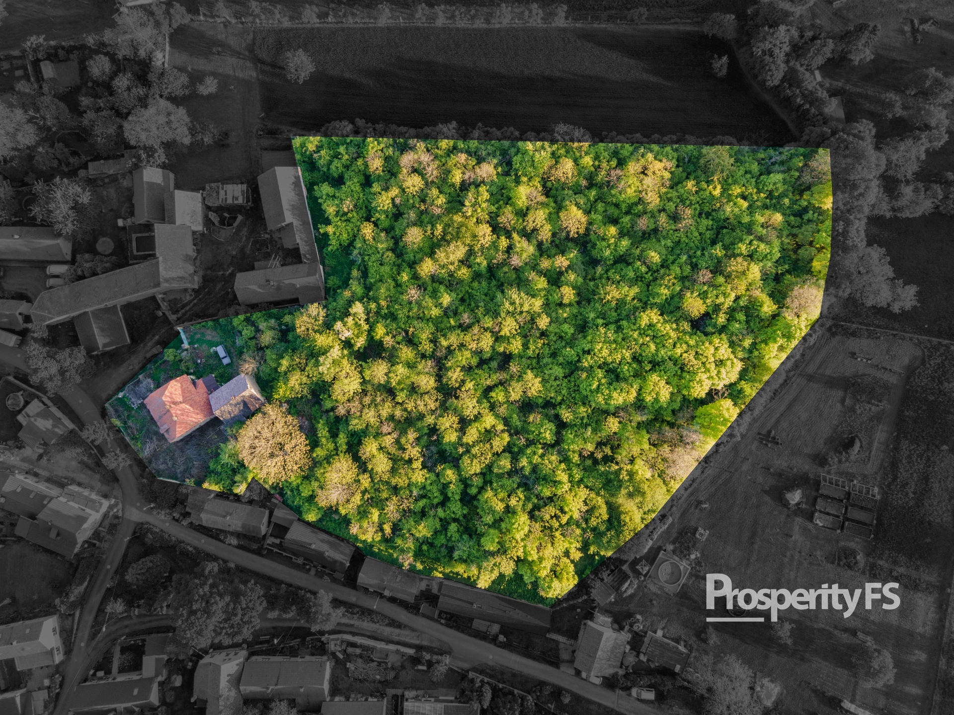 DJI_0113-Edit