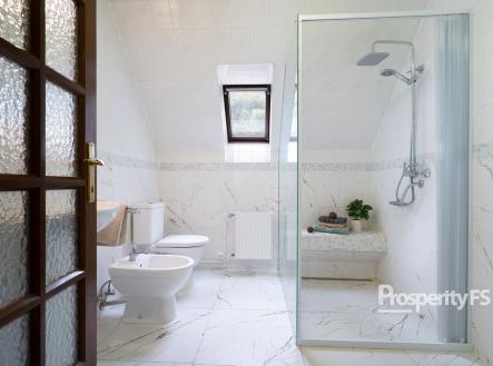 3 | Prodej - dům/vila, 319 m²