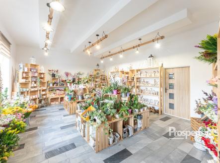 Květinářství | Prodej - dům/vila, 658 m²