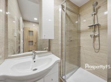 DSC03218 | Pronájem bytu, 1+1, 35 m²