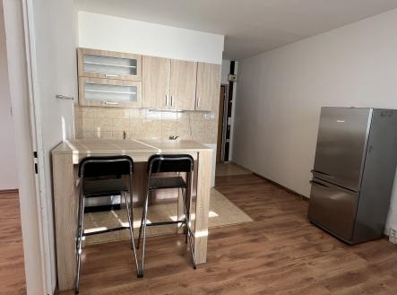 IMG_9180 | Pronájem bytu, 1+1, 37 m²