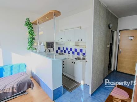 IMG_7356 | Pronájem bytu, 1+1, 33 m²