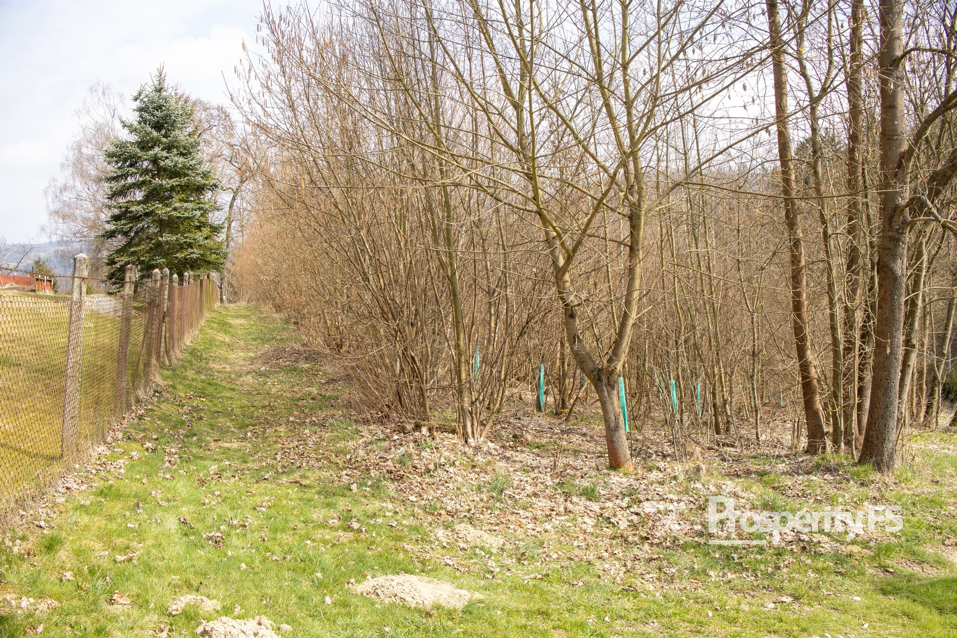 Prodej souboru pozemků 2 712 m² – Příkrá, Železný Brod