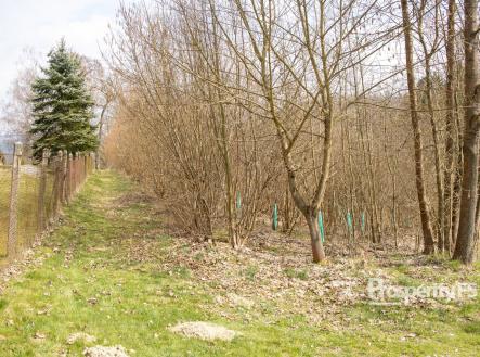 Prodej - pozemek, les, 2 712 m²