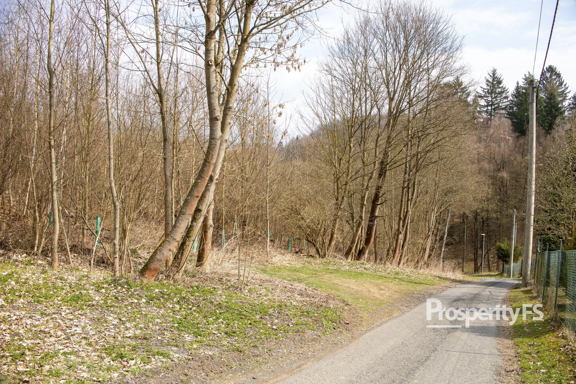 Prodej pozemků 2 712 m² – Příkrá, Železný Brod