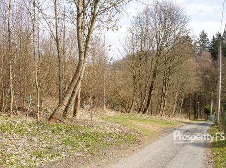 Prodej - pozemek, les, 2 712 m²