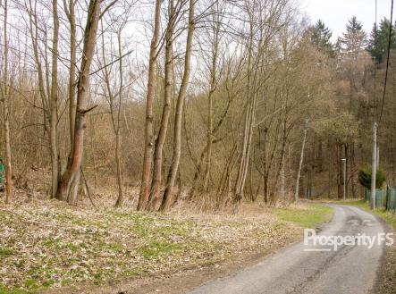 Prodej - pozemek, les, 2 712 m²