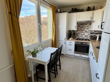 IMG_1935 | Pronájem bytu, 3+1, 68 m²