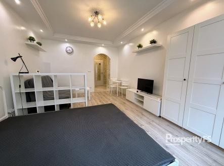 IMG_7170 | Pronájem bytu, 1+kk, 25 m²