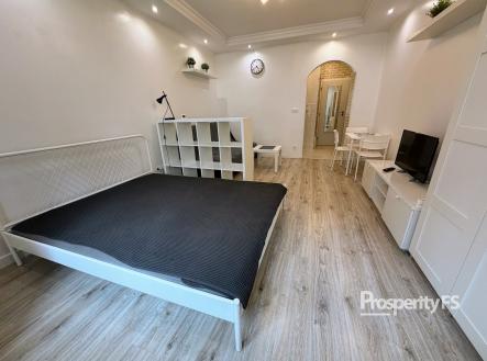 IMG_7173 | Pronájem bytu, 1+kk, 25 m²