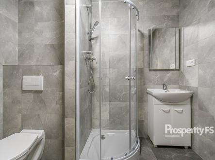 DSC_1194 | Pronájem bytu, 1+1, 36 m²