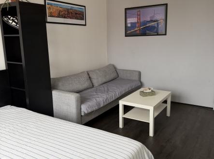 IMG_2254 | Pronájem bytu, 1+1, 40 m²