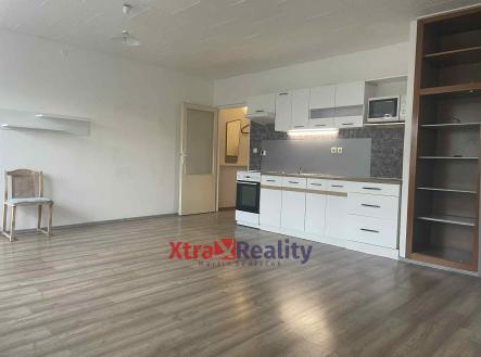 7f693b25-8ed3-4335-87c3-b77ce1d7a0f6 | Pronájem bytu, 1+kk, 44 m²