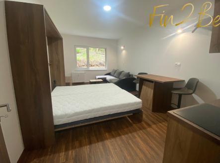byt-3.jpg | Pronájem bytu, 1+kk, 27 m²