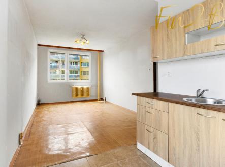 kuchyne-a-obyvaci-pokoj.jpg | Prodej bytu, 2+kk, 39 m²