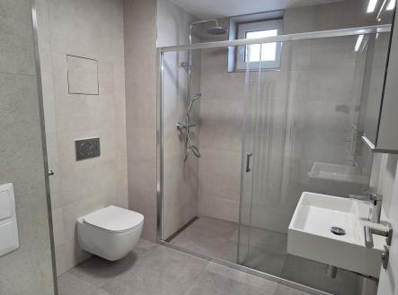 20251023_144018.jpg | Pronájem bytu, 2+kk, 38 m²