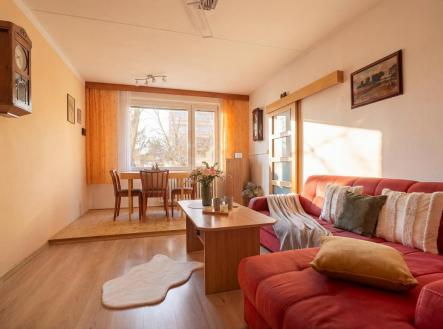 PANA4767a.jpg | Prodej bytu, 3+1, 81 m²