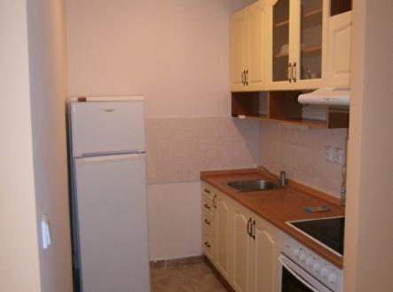 P6040027 | Pronájem bytu, 1+kk, 39 m²