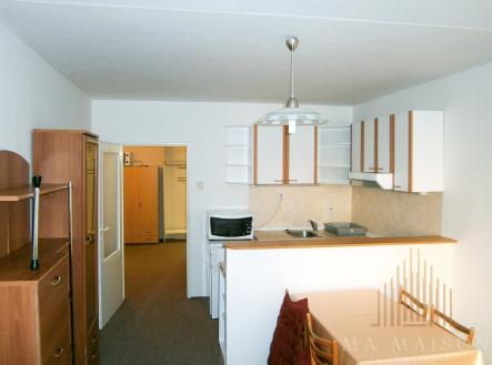 P9290003 | Pronájem bytu, 2+kk, 57 m²