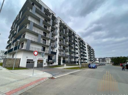 IMG_0606 | Pronájem bytu, 2+kk, 55 m²