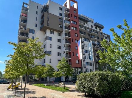 IMG_4823 | Pronájem bytu, 2+kk, 55 m²