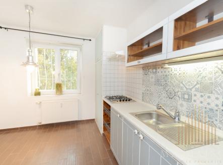 DSC_3617 | Pronájem bytu, 1+1, 50 m²