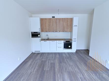 DSC_0340b | Pronájem bytu, 3+kk, 51 m²