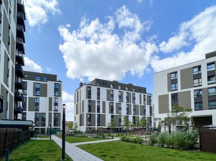 IMG_5798 | Pronájem bytu, 2+kk, 51 m²