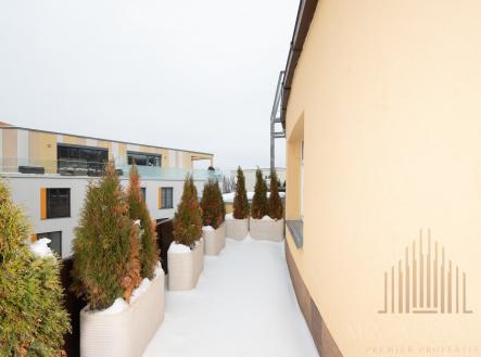 DSC_4016 | Pronájem bytu, 1+1, 36 m²