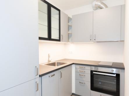 DSC_4118 | Pronájem bytu, 1+kk, 39 m²