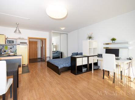 DSC_5575 | Pronájem bytu, 1+kk, 47 m²