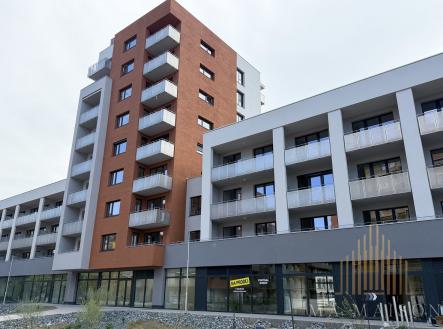 IMG_8353 | Pronájem bytu, 1+kk, 34 m²