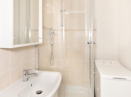 DSC_3319 | Pronájem bytu, 1+1, 38 m²