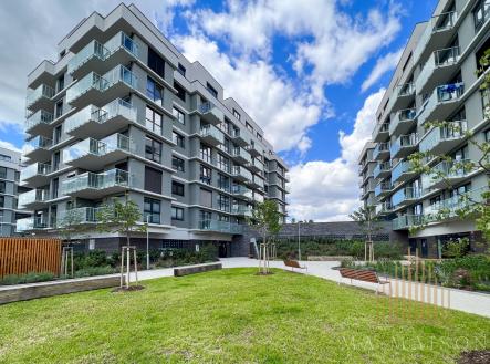 IMG_9127 | Pronájem bytu, 2+kk, 57 m²