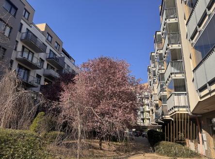 IMG_1450 | Pronájem bytu, 2+kk, 54 m²