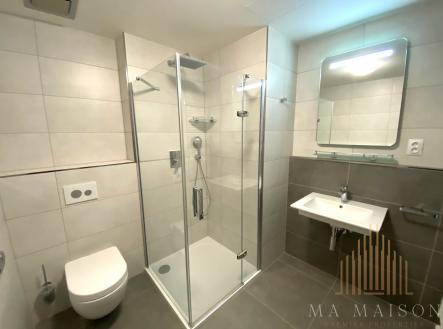 IMG_3525 | Pronájem bytu, 1+kk, 37 m²