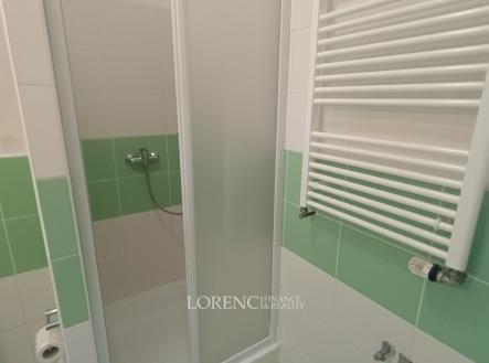 IMG_20260330_154958672 | Pronájem bytu, 1+kk, 37 m²