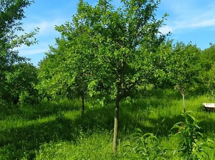Prodej - pozemek pro bydlení, 500 m² obrázek
