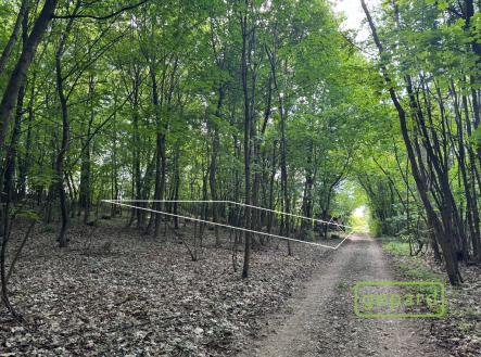 oznaceni.jpeg | Prodej - pozemek pro bydlení, 1 055 m²