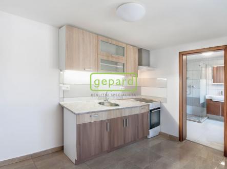 Prodej - nájemní dům, 237 m² obrázek