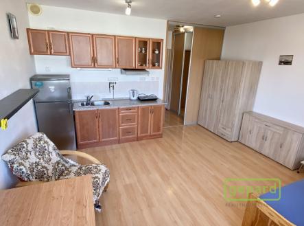 Pronájem bytu, 1+kk, 24 m² obrázek