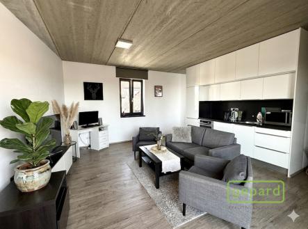 img-1193.png | Pronájem bytu, 2+kk, 102 m²