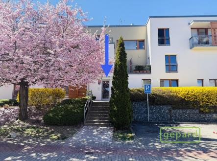 img-1169-1.jpeg | Pronájem bytu, 3+kk, 96 m²