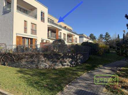 img-1134-1.jpeg | Pronájem bytu, 3+kk, 96 m²