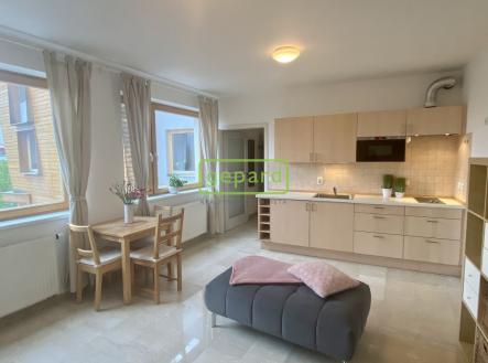 img-0110.jpg | Pronájem bytu, 1+kk, 34 m²
