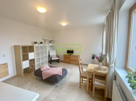 img-0106.jpg | Pronájem bytu, 1+kk, 34 m²