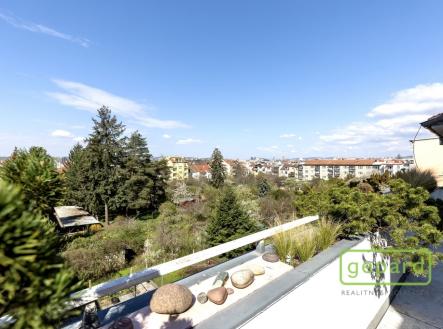 iva-brno-47.jpg | Pronájem bytu, 5+kk, 125 m²